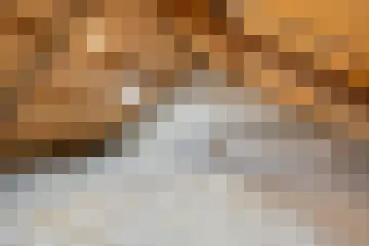 D.K. Boersmastrjitte 14 Rinsumageast thumbnail 21