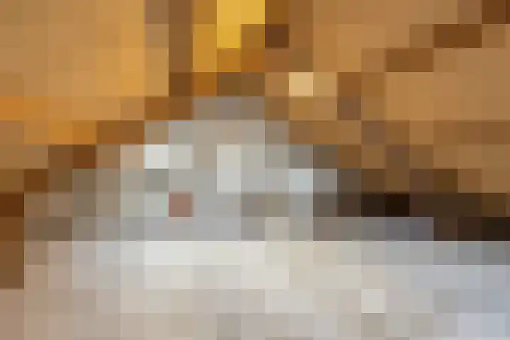 D.K. Boersmastrjitte 14 Rinsumageast thumbnail 22