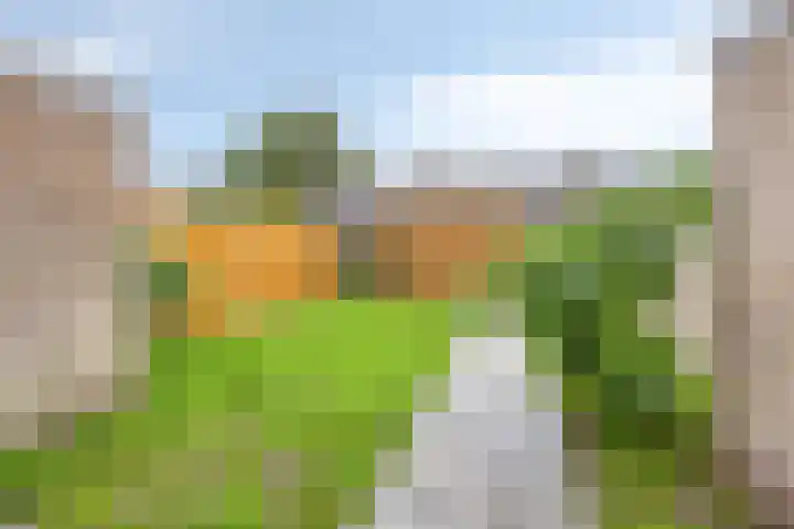 D.K. Boersmastrjitte 14 Rinsumageast thumbnail 23