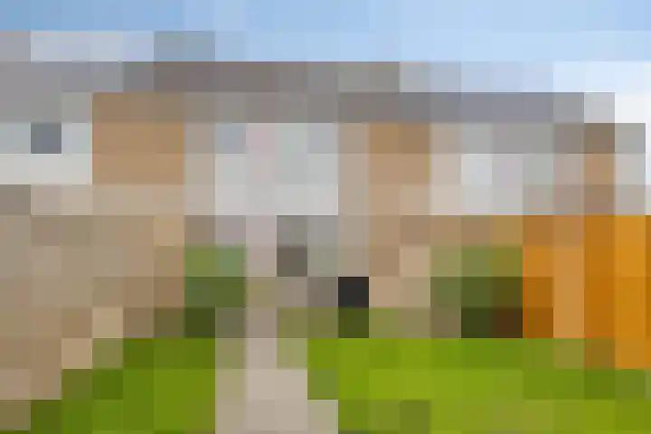 D.K. Boersmastrjitte 14 Rinsumageast thumbnail 24