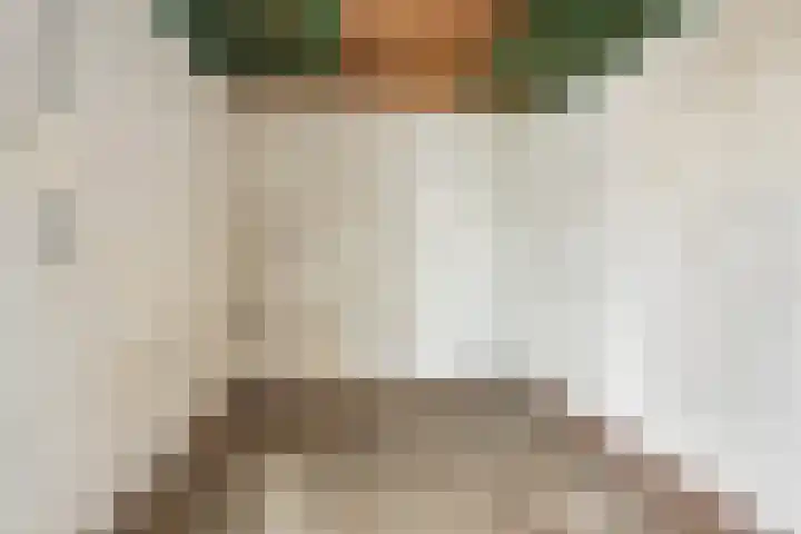 D.K. Boersmastrjitte 14 Rinsumageast thumbnail 25