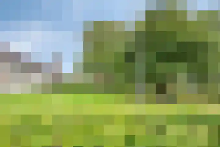 D.K. Boersmastrjitte 14 Rinsumageast thumbnail 26