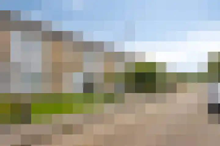 D.K. Boersmastrjitte 14 Rinsumageast thumbnail 4