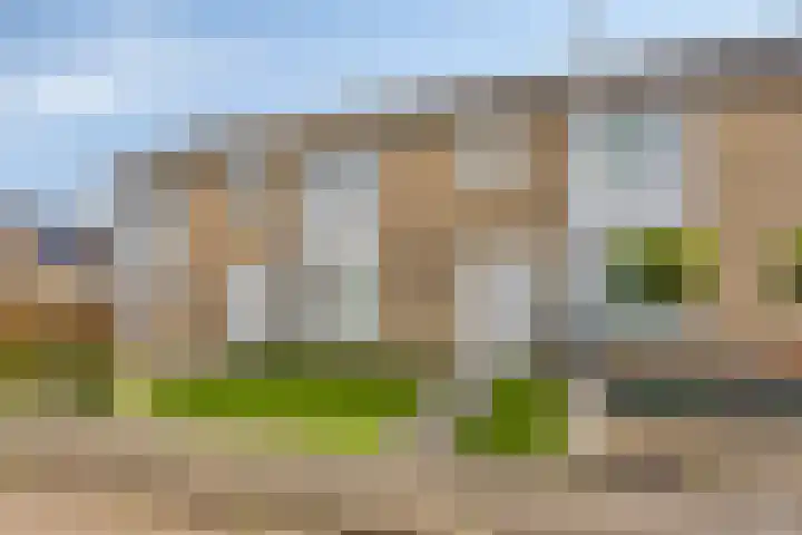 D.K. Boersmastrjitte 14 Rinsumageast thumbnail 6