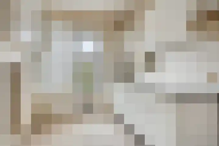 D.K. Boersmastrjitte 14 Rinsumageast thumbnail 9