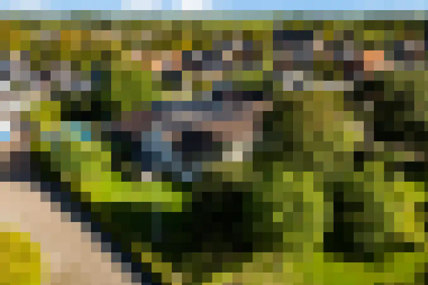 D.K. Boersmastrjitte 25 in Rinsumageast