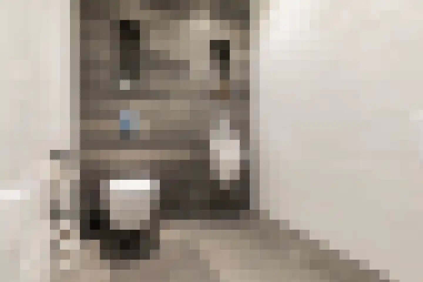 D.K. Boersmastrjitte 25 Rinsumageast thumbnail 10