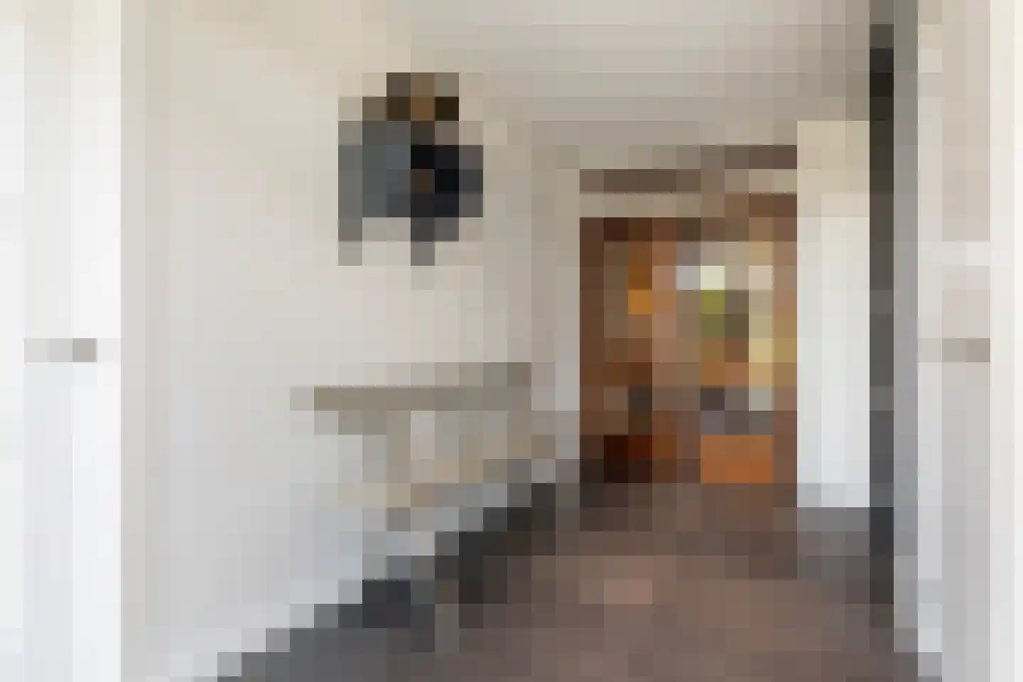 D.K. Boersmastrjitte 25 Rinsumageast thumbnail 11