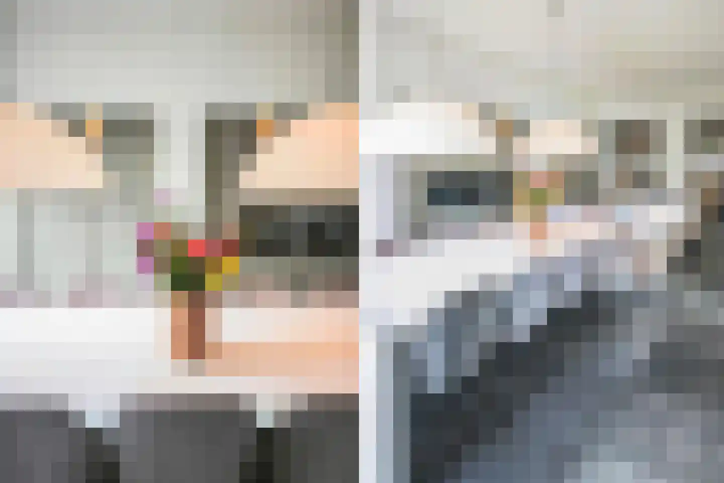 D.K. Boersmastrjitte 25 Rinsumageast thumbnail 16