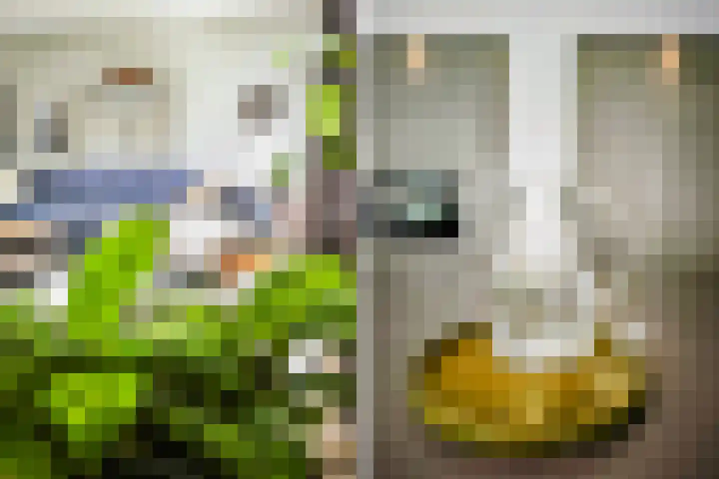 D.K. Boersmastrjitte 25 Rinsumageast thumbnail 20