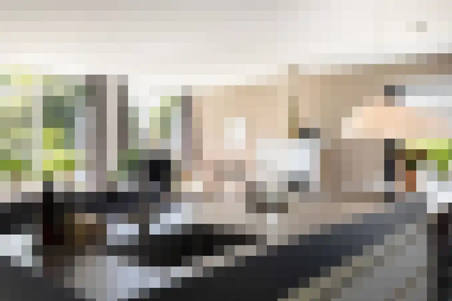D.K. Boersmastrjitte 25 Rinsumageast thumbnail 24