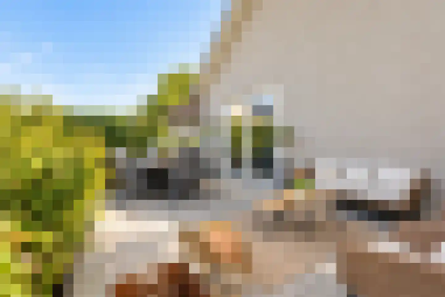 D.K. Boersmastrjitte 25 Rinsumageast thumbnail 28