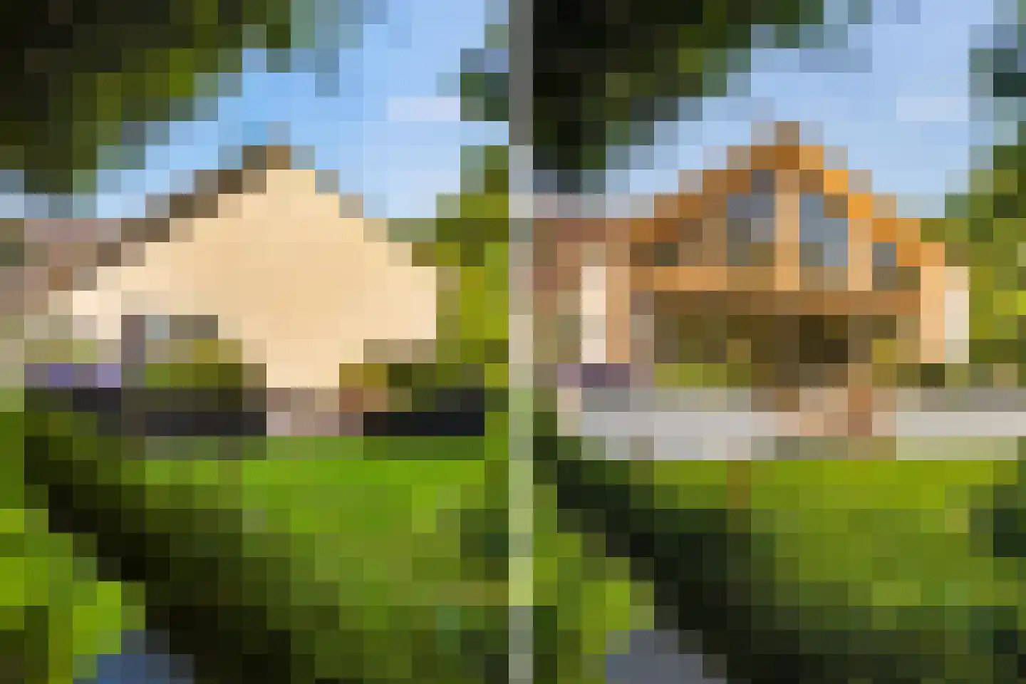 D.K. Boersmastrjitte 25 Rinsumageast thumbnail 30