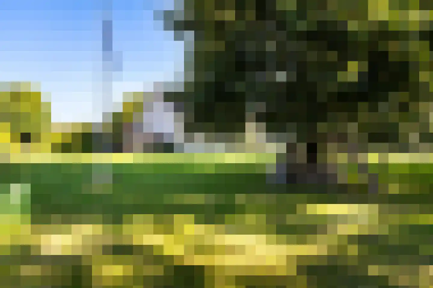 D.K. Boersmastrjitte 25 Rinsumageast thumbnail 33