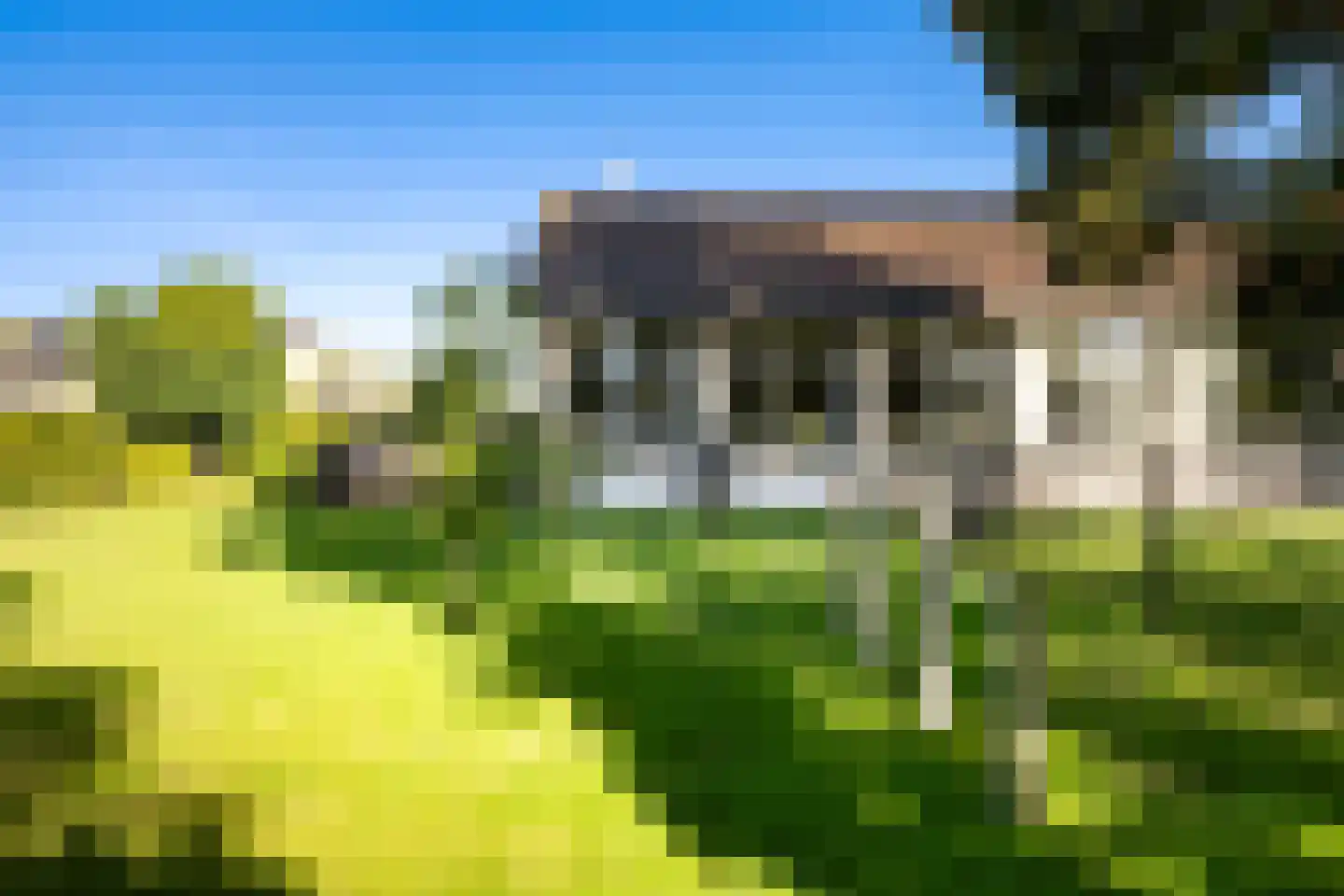D.K. Boersmastrjitte 25 Rinsumageast thumbnail 34