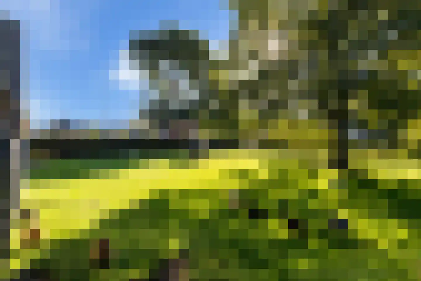 D.K. Boersmastrjitte 25 Rinsumageast thumbnail 35