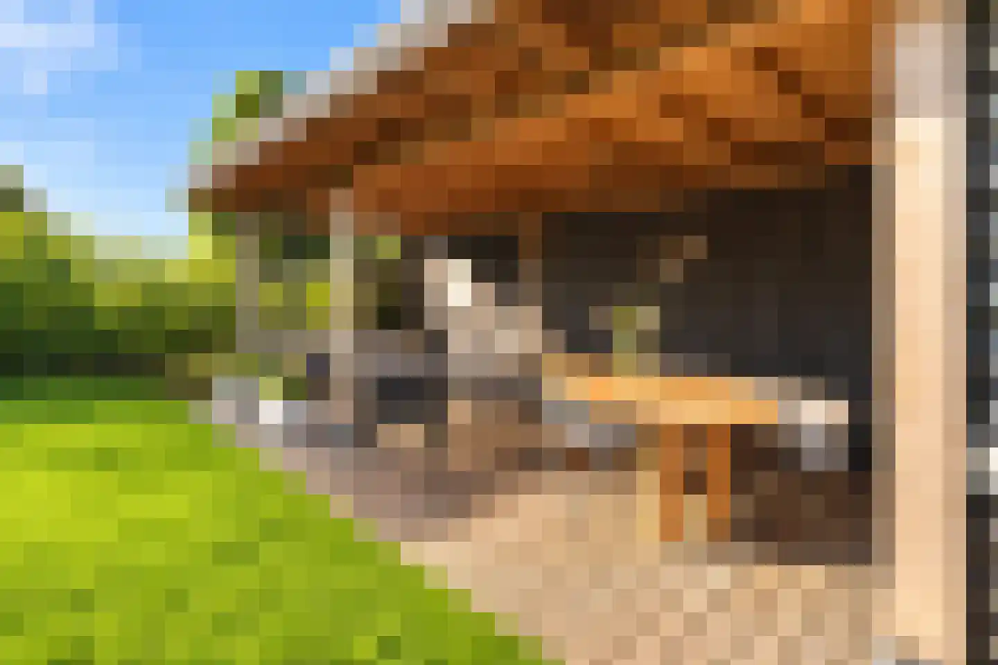 D.K. Boersmastrjitte 25 Rinsumageast thumbnail 37