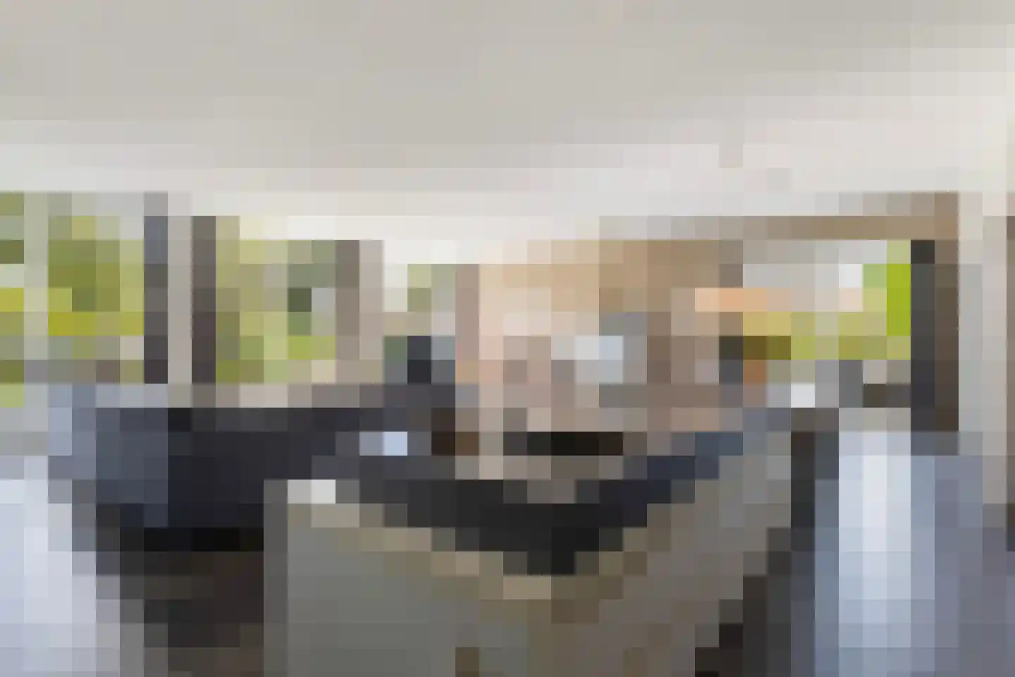 D.K. Boersmastrjitte 25 Rinsumageast thumbnail 4