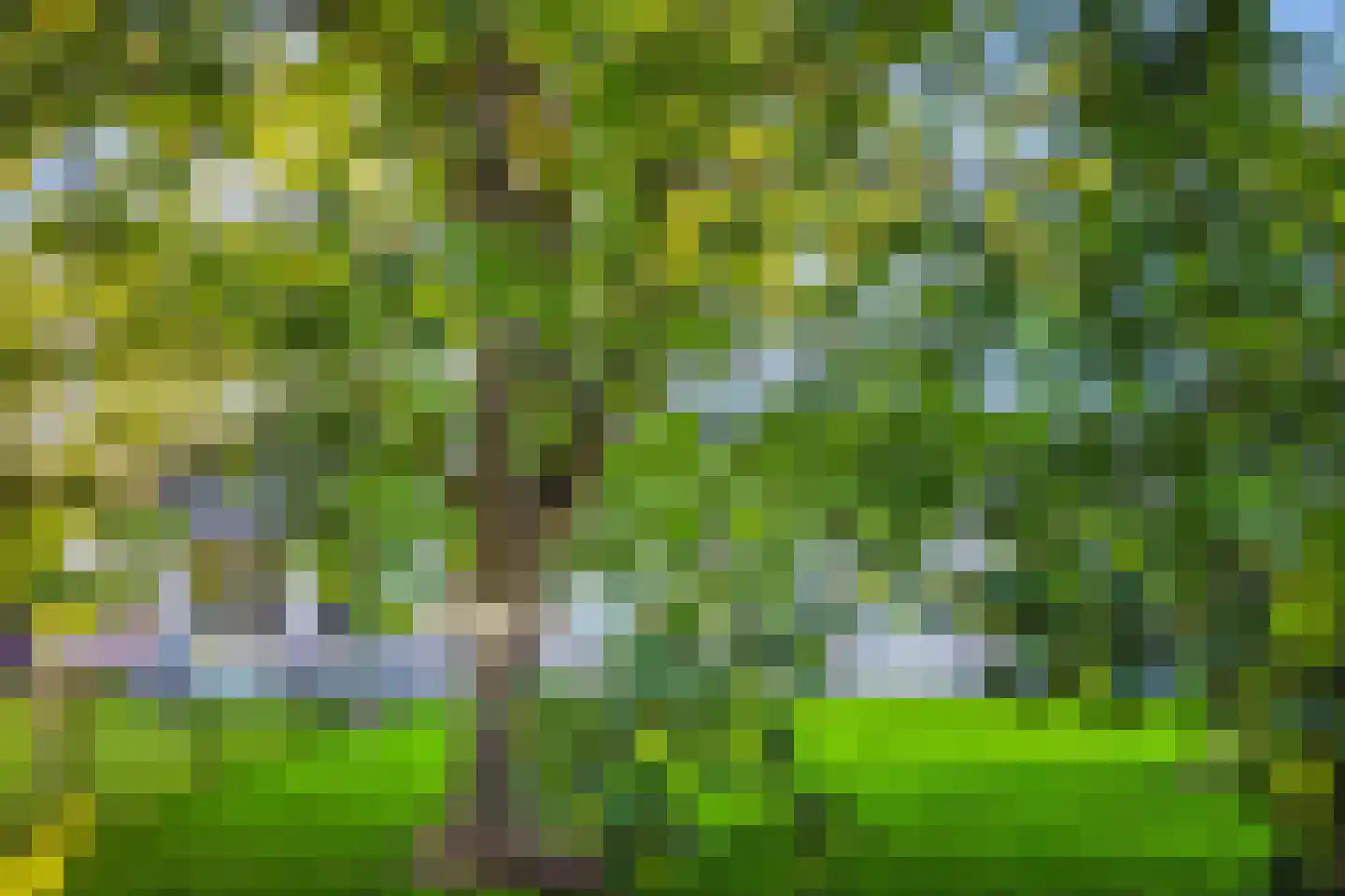 D.K. Boersmastrjitte 25 Rinsumageast thumbnail 44