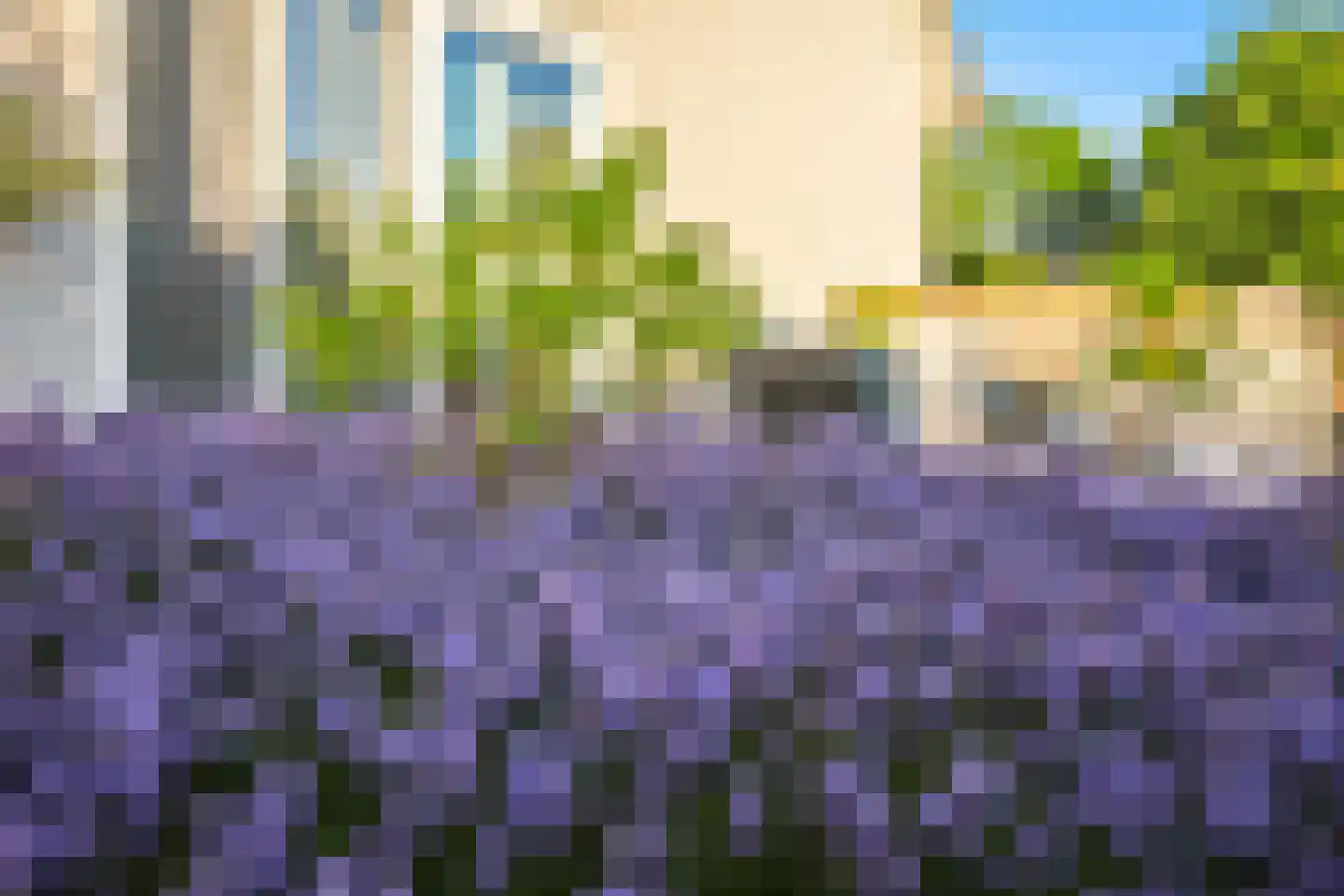 D.K. Boersmastrjitte 25 Rinsumageast thumbnail 48
