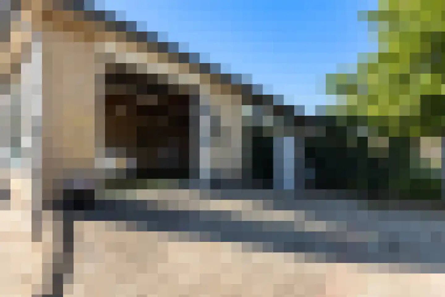 D.K. Boersmastrjitte 25 Rinsumageast thumbnail 50