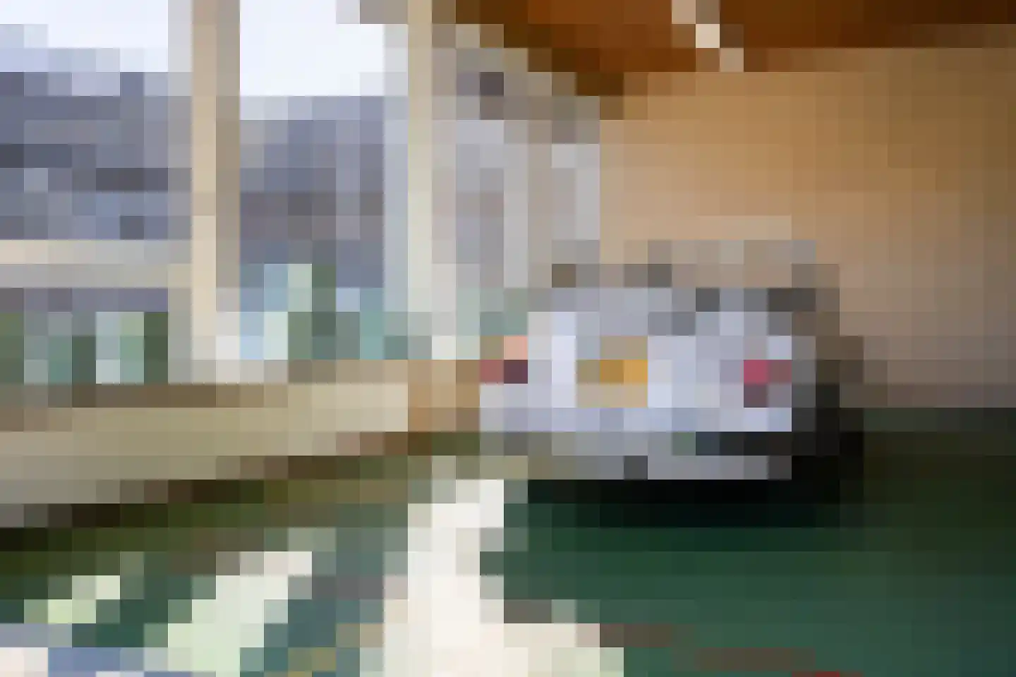 D.K. Boersmastrjitte 25 Rinsumageast thumbnail 51