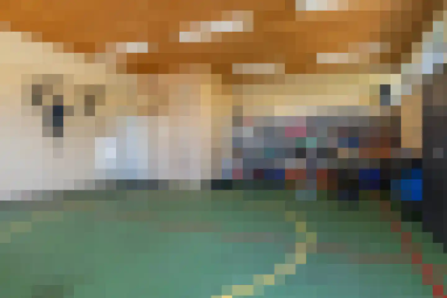 D.K. Boersmastrjitte 25 Rinsumageast thumbnail 53