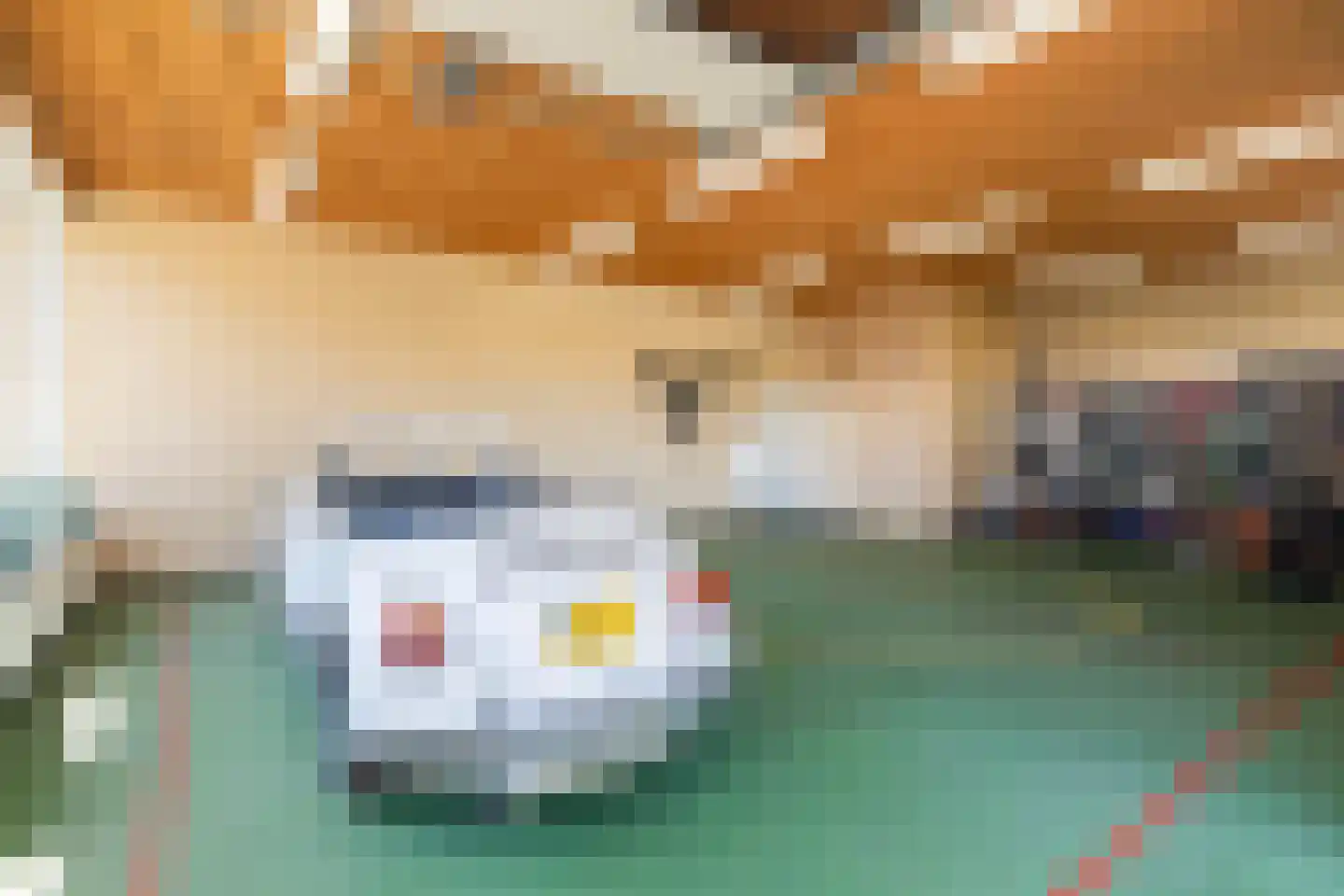 D.K. Boersmastrjitte 25 Rinsumageast thumbnail 54