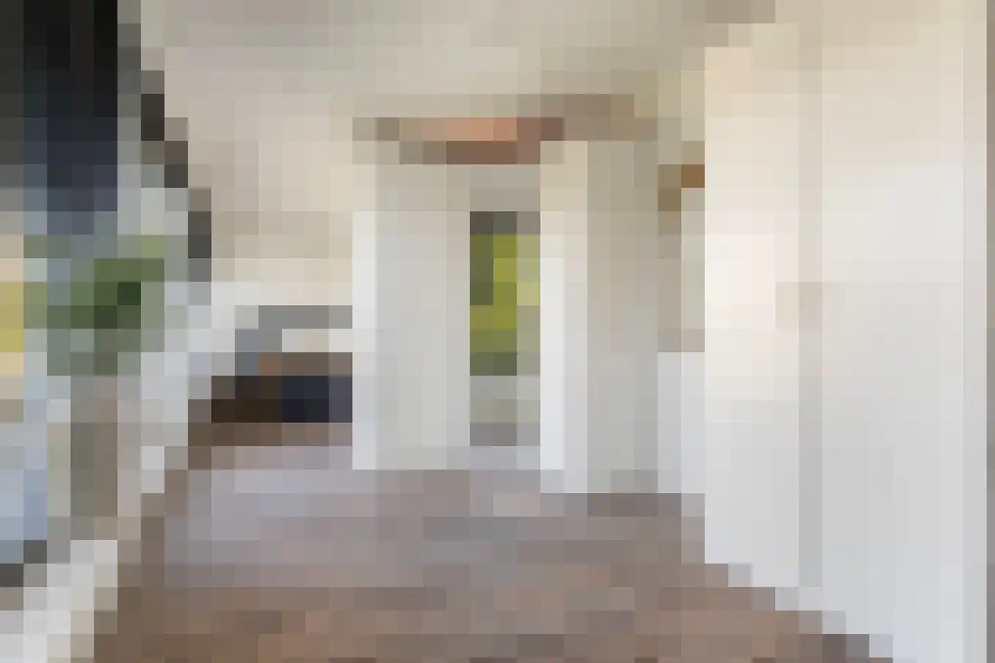 D.K. Boersmastrjitte 25 Rinsumageast thumbnail 55