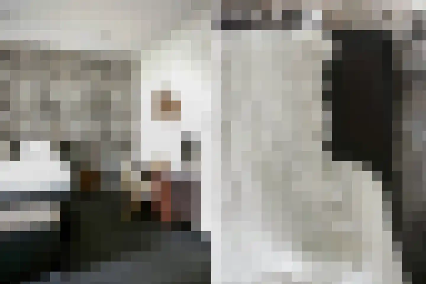 D.K. Boersmastrjitte 25 Rinsumageast thumbnail 62