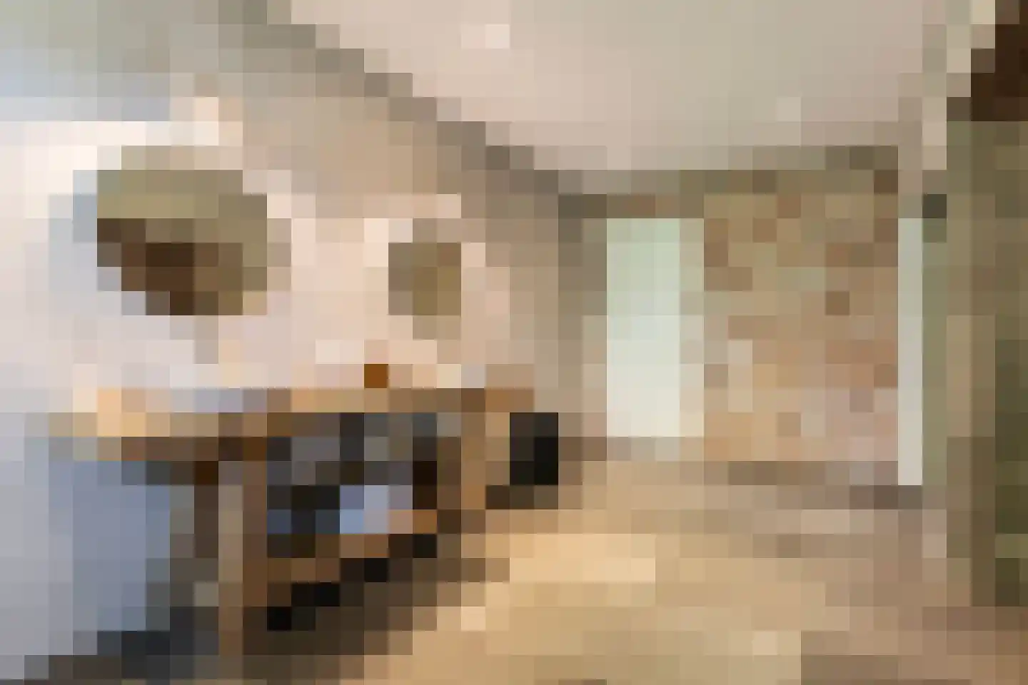 D.K. Boersmastrjitte 25 Rinsumageast thumbnail 73