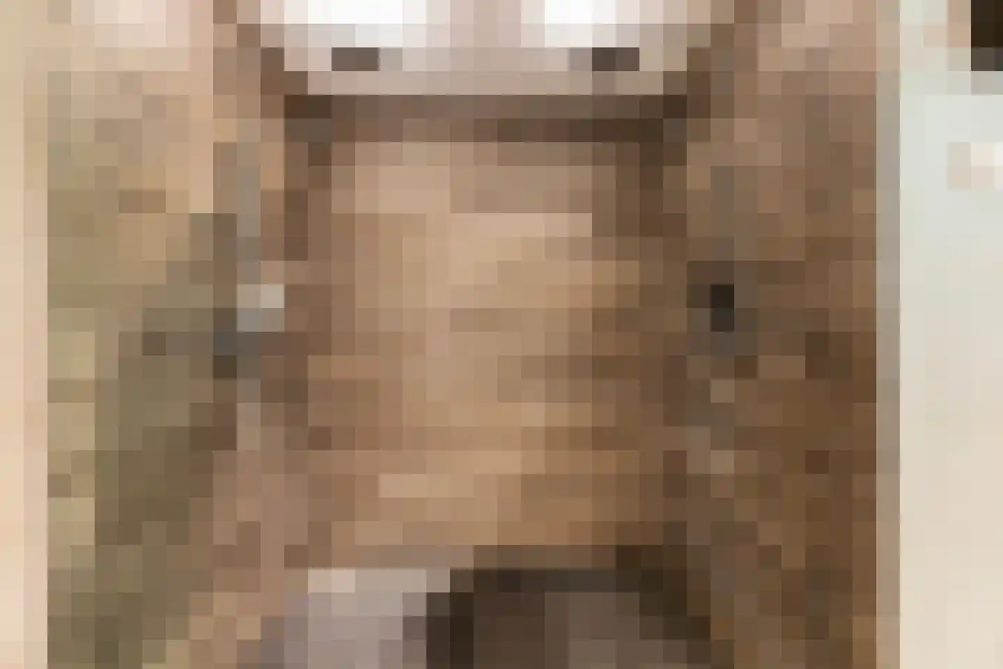 D.K. Boersmastrjitte 25 Rinsumageast thumbnail 74