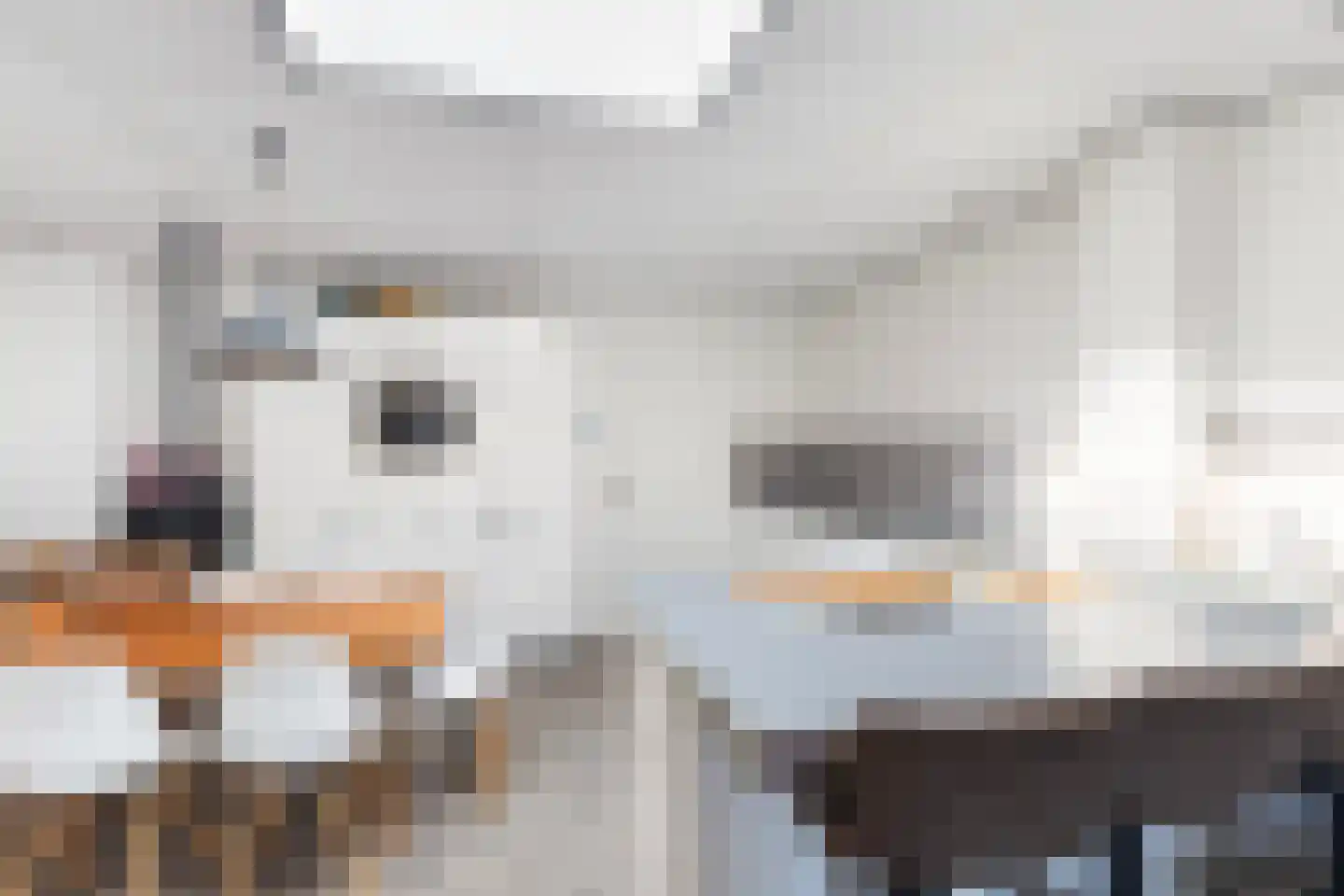D.K. Boersmastrjitte 25 Rinsumageast thumbnail 79