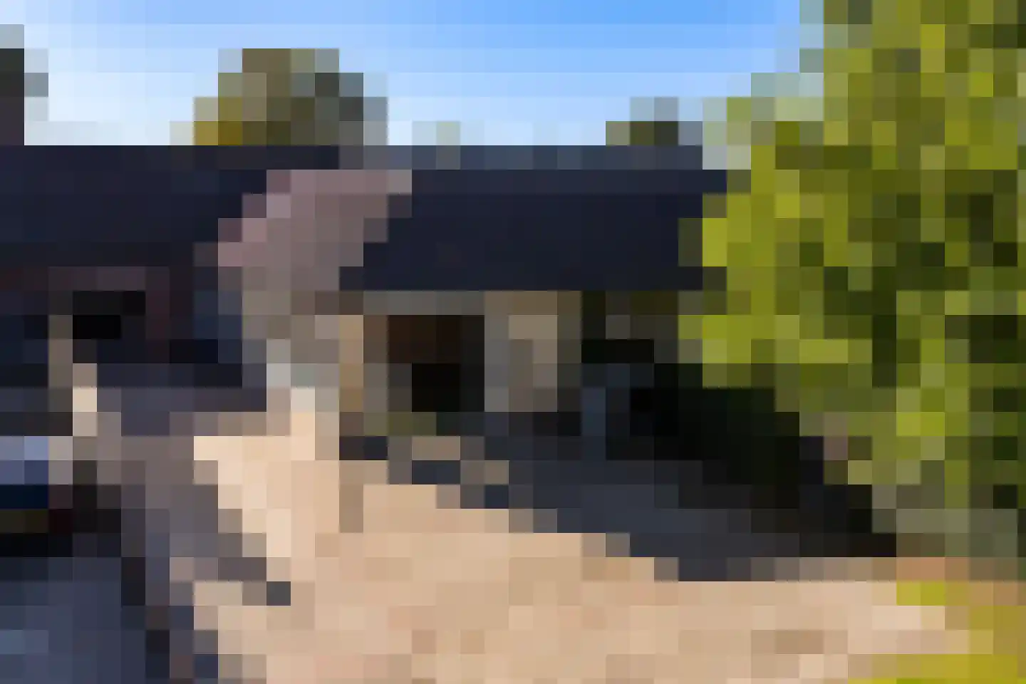 D.K. Boersmastrjitte 25 Rinsumageast thumbnail 82