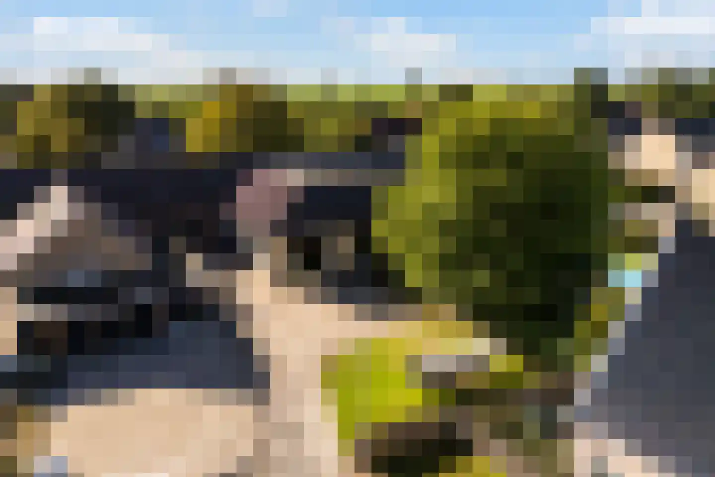 D.K. Boersmastrjitte 25 Rinsumageast thumbnail 83