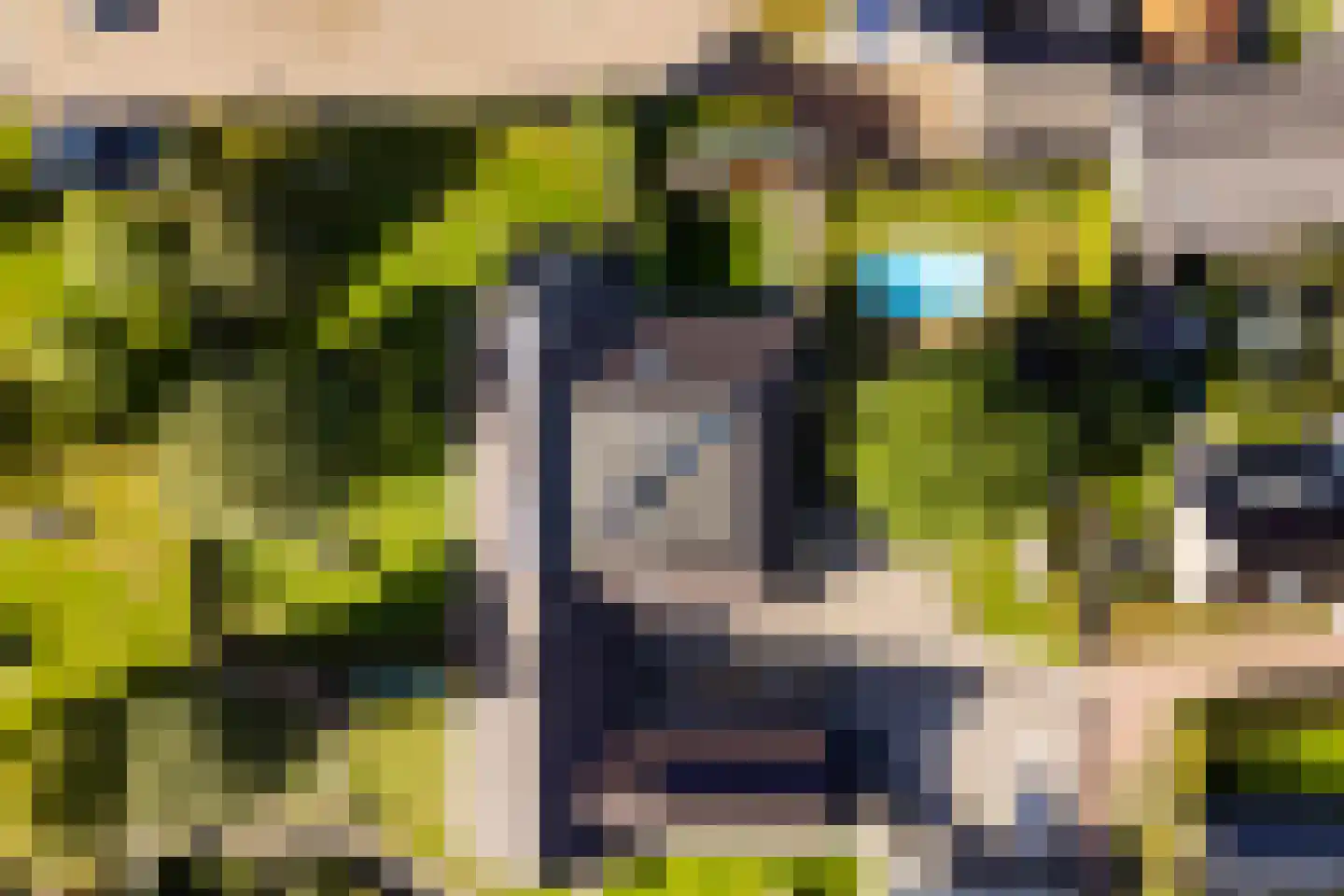 D.K. Boersmastrjitte 25 Rinsumageast thumbnail 84