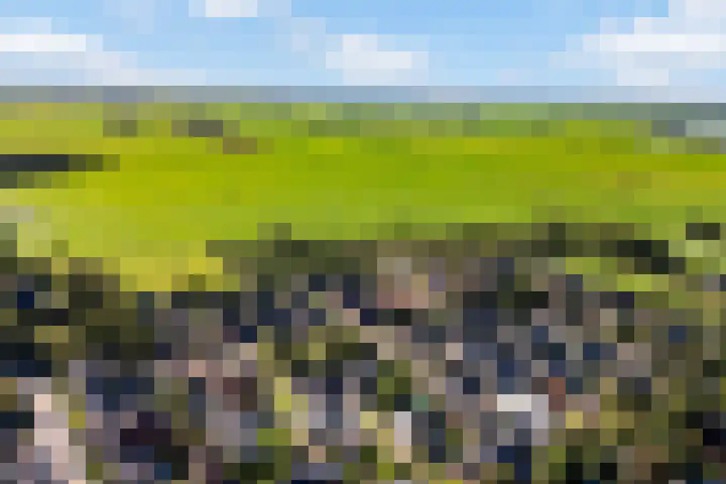 D.K. Boersmastrjitte 25 Rinsumageast thumbnail 85