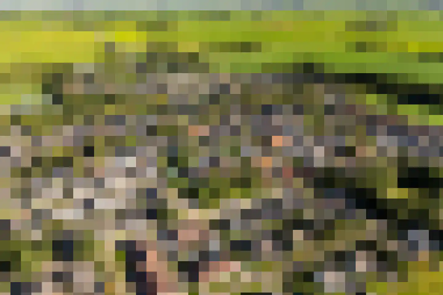 D.K. Boersmastrjitte 25 Rinsumageast thumbnail 86