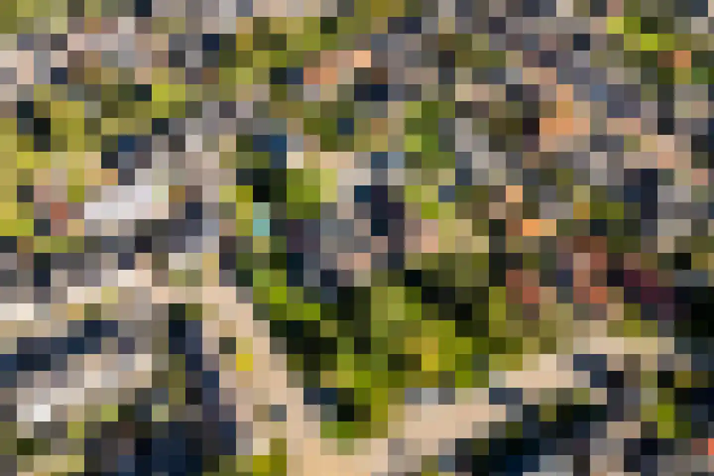 D.K. Boersmastrjitte 25 Rinsumageast thumbnail 87