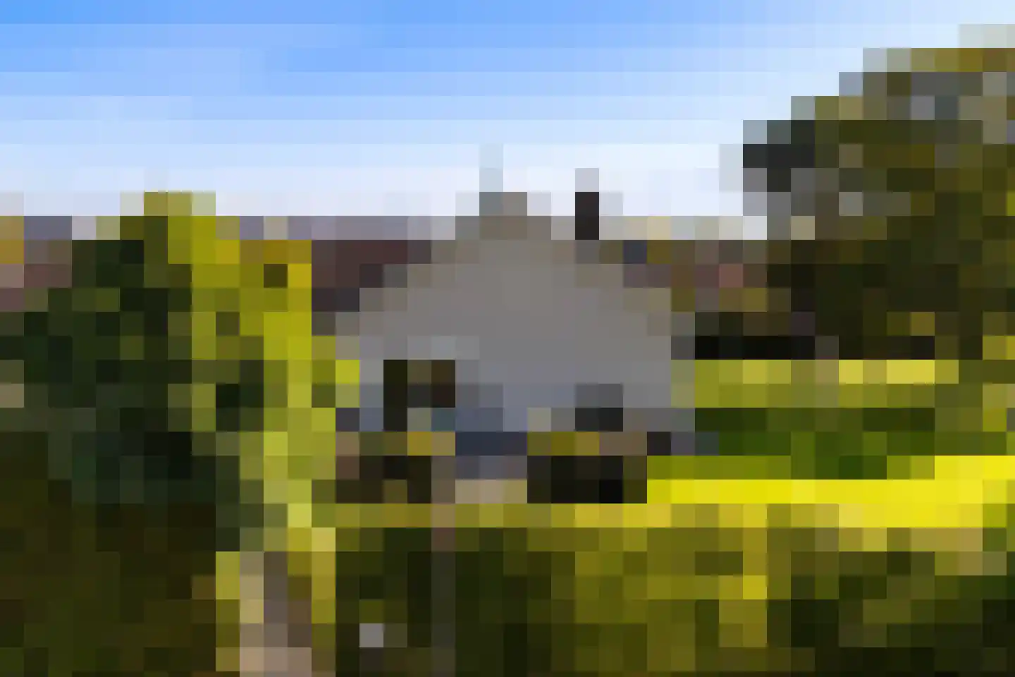 D.K. Boersmastrjitte 25 Rinsumageast thumbnail 9