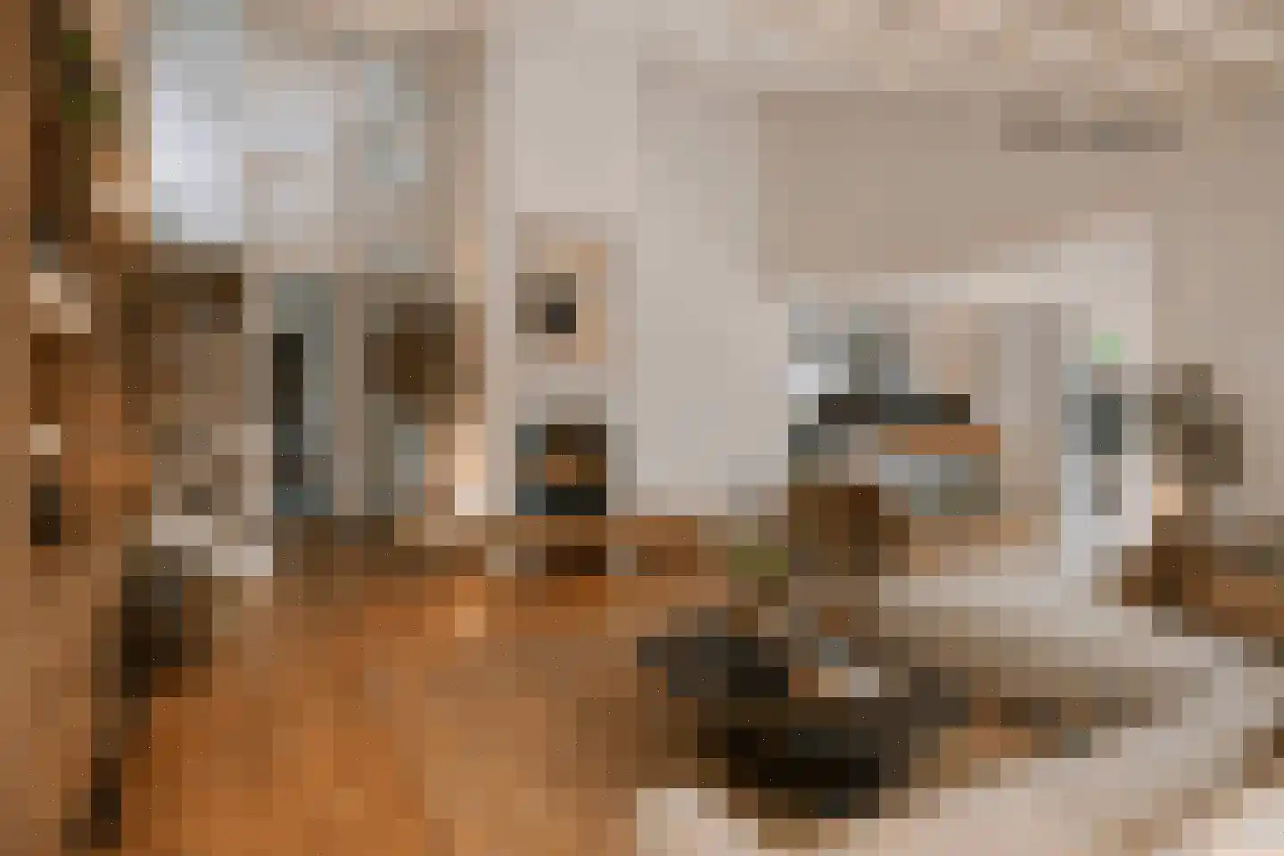 D. Koddelaan 28 Zoutelande thumbnail 24