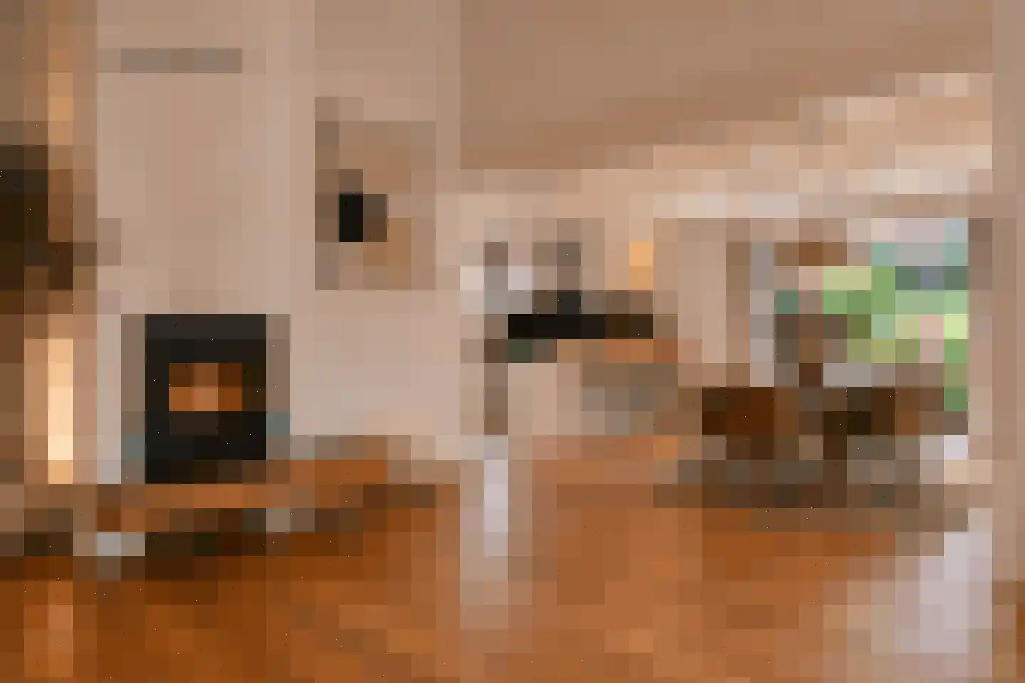 D. Koddelaan 28 Zoutelande thumbnail 25