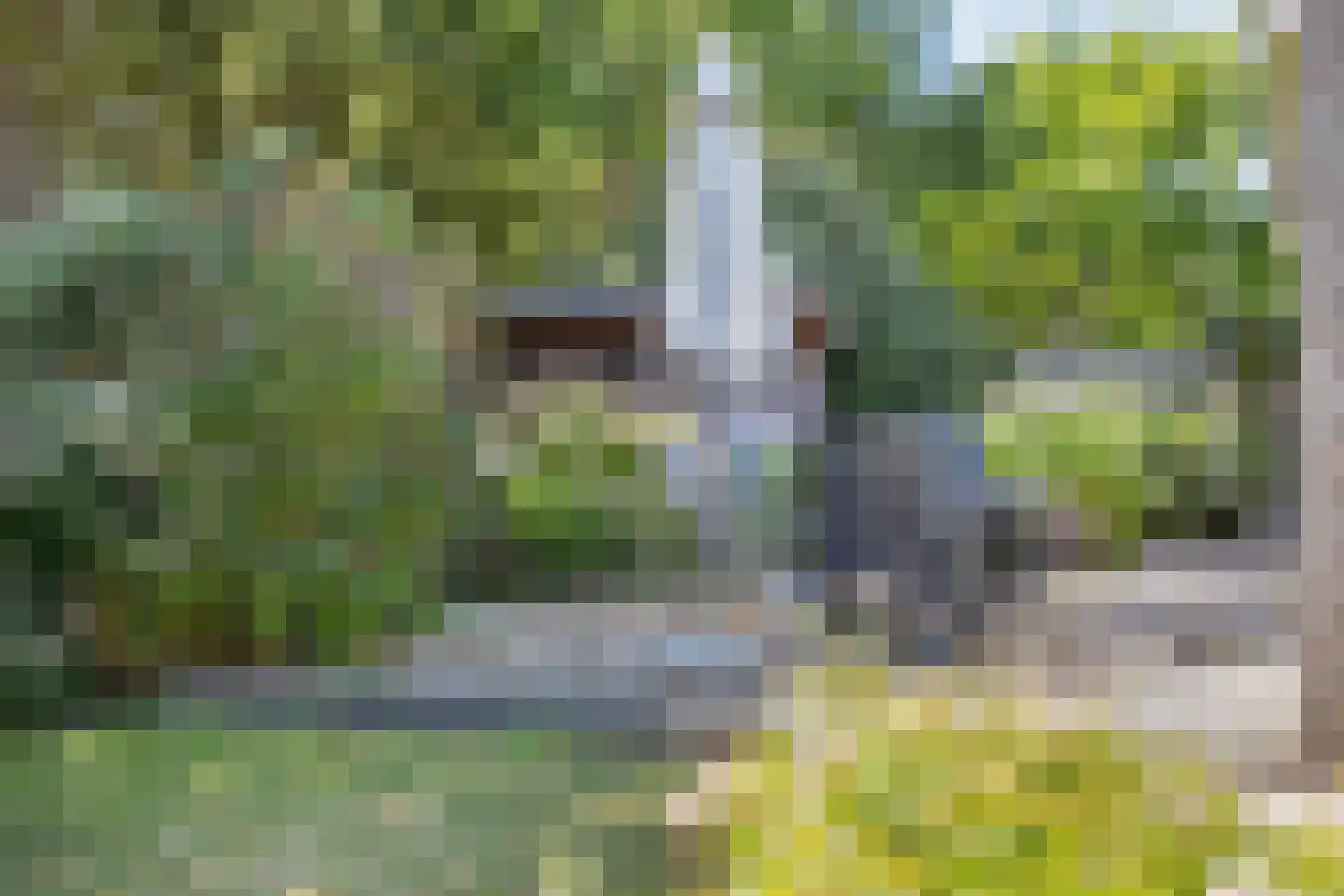 D. Koddelaan 28 Zoutelande thumbnail 31