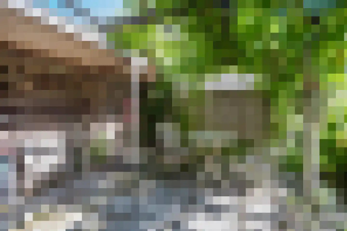 D. Koddelaan 28 Zoutelande thumbnail 32