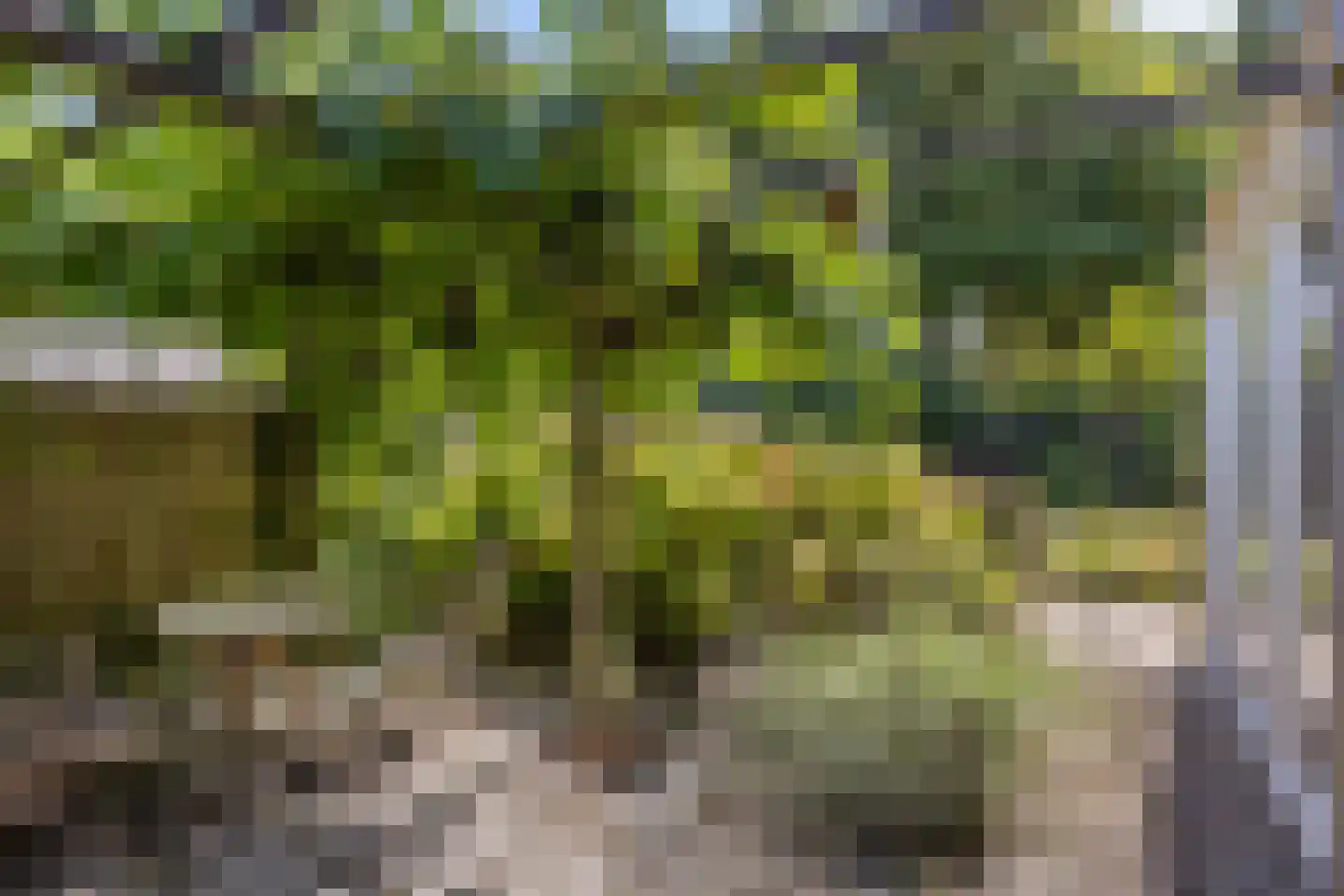 D. Koddelaan 28 Zoutelande thumbnail 33