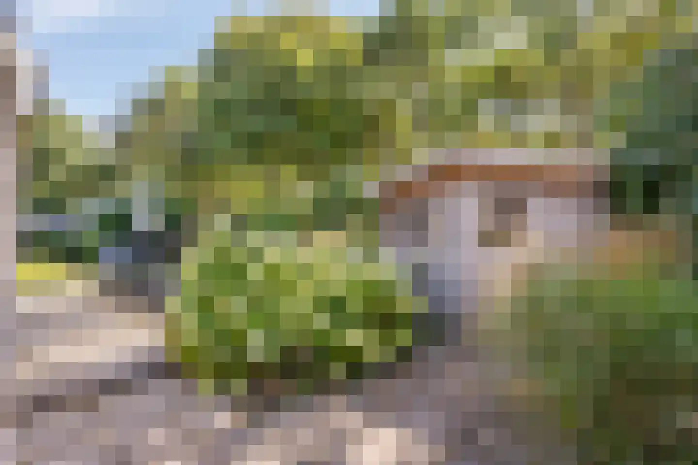 D. Koddelaan 28 Zoutelande thumbnail 34