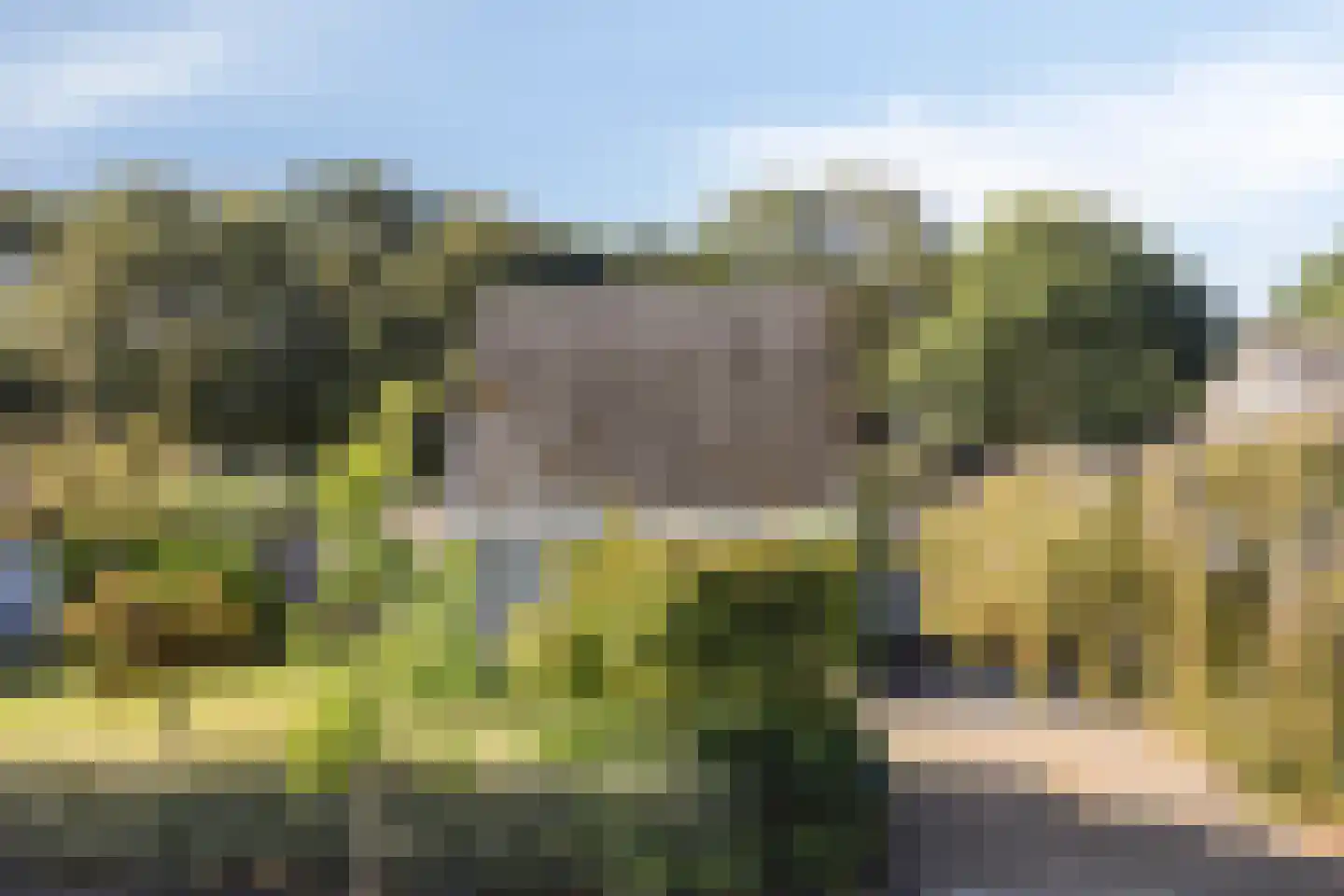 D. Koddelaan 28 Zoutelande thumbnail 6