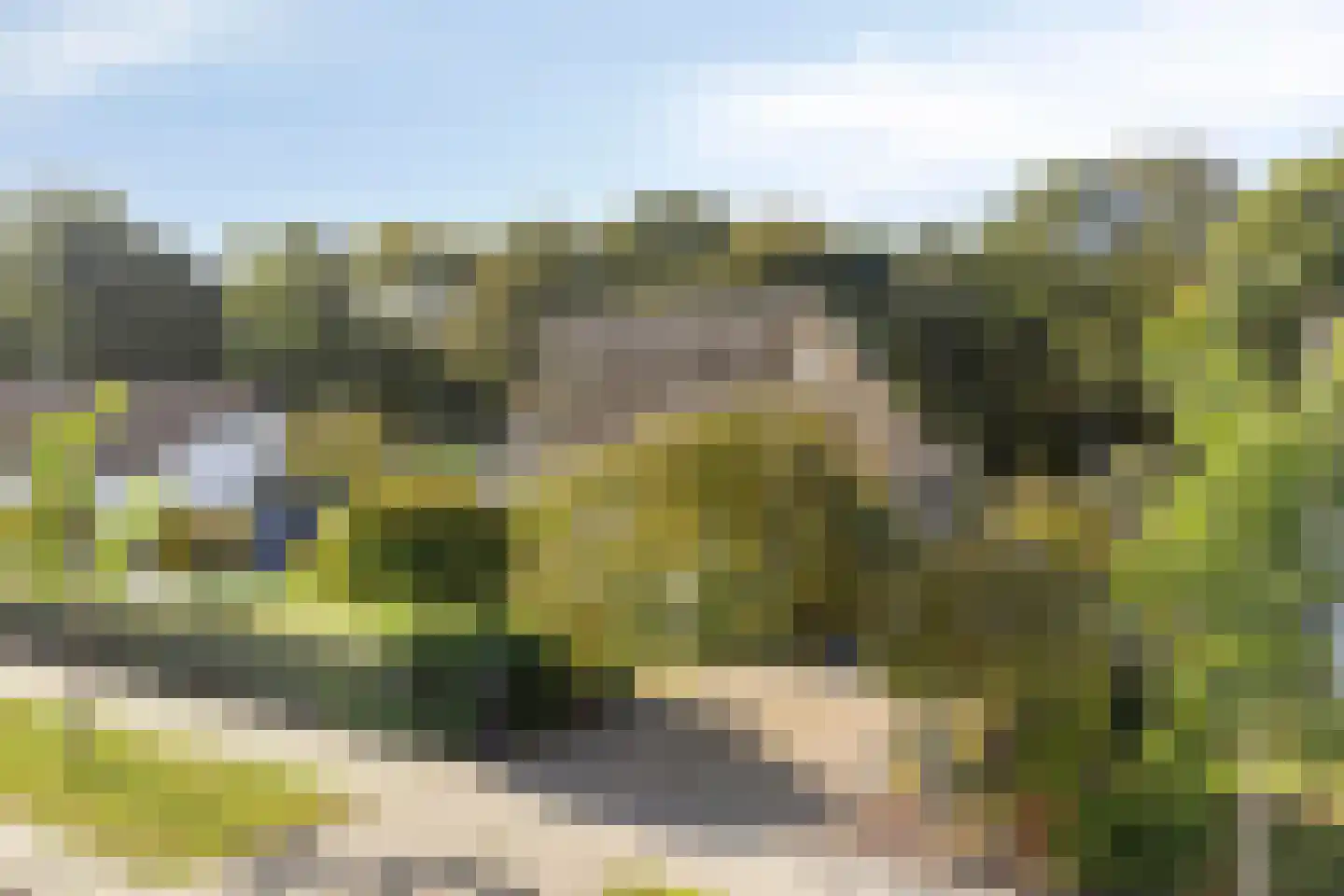 D. Koddelaan 28 Zoutelande thumbnail 7