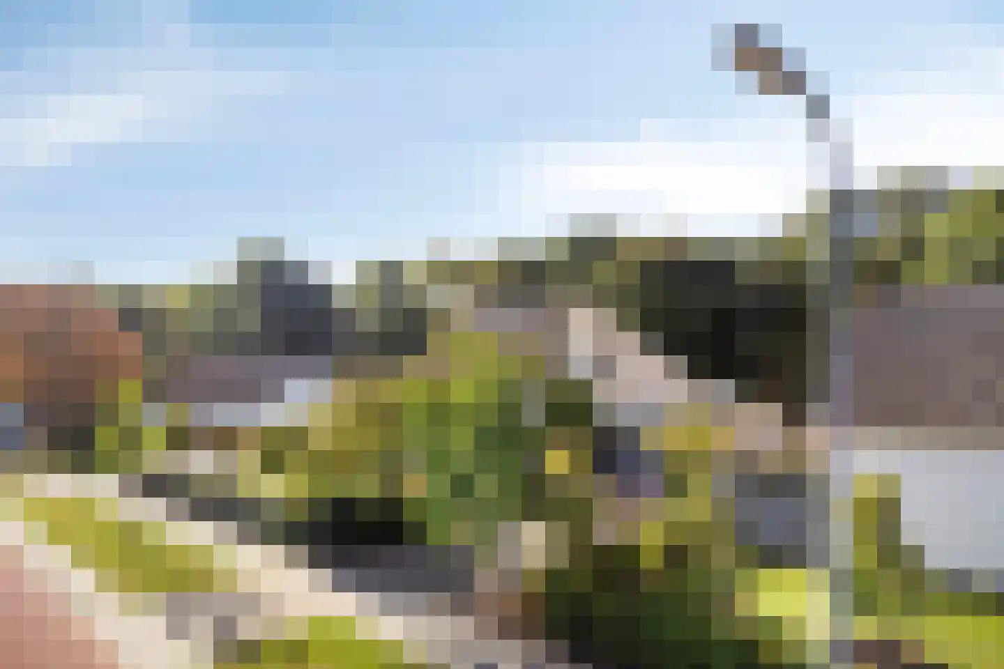 D. Koddelaan 28 Zoutelande thumbnail 8
