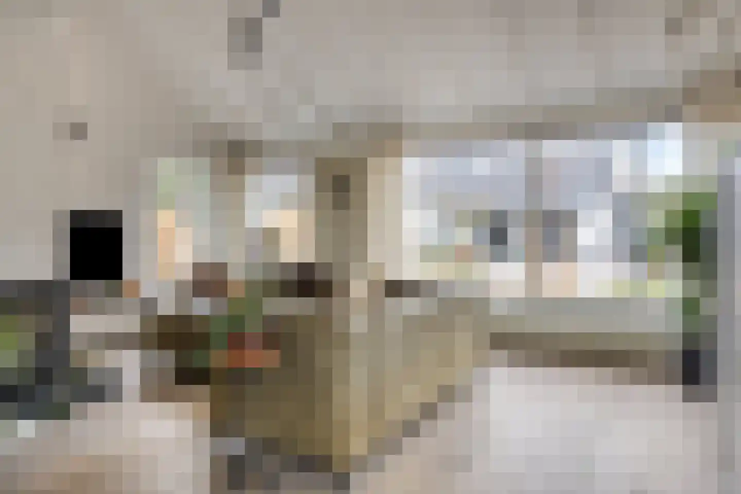 D. Koddelaan 41 Zoutelande thumbnail 11